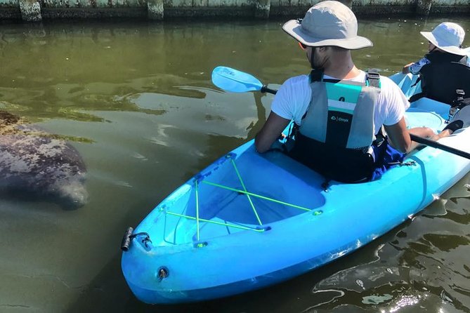 Wildlife Refuge Manatee, Dolphin & Mangrove Kayak or Paddleboarding Tour! - Kayak vs paddleboard: how to choose without second-guessing