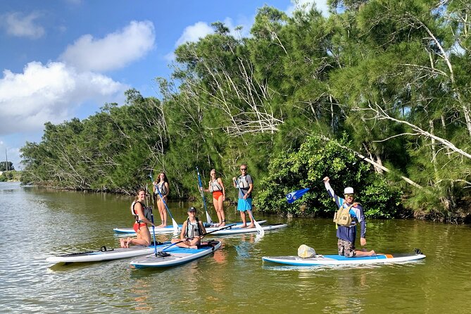 Wildlife Refuge Manatee, Dolphin & Mangrove Kayak or Paddleboarding Tour! - Equipment included: you show up, you paddle