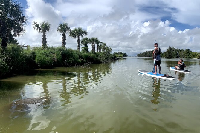 Wildlife Refuge Sunset Dolphin, Manatee & Mangrove Kayak or Paddleboarding Tour! - Key points you’ll care about