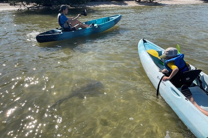 Wildlife Refuge Sunset Dolphin, Manatee & Mangrove Kayak or Paddleboarding Tour! - Picking kayak or SUP: what changes in real life
