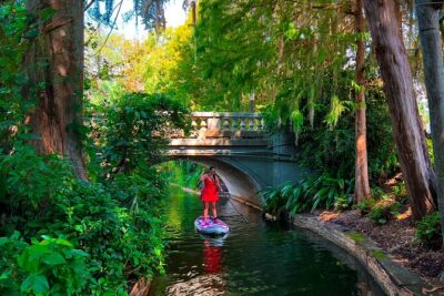 Winter Park Paddle Board Tour - Price and timing: $59 for about 2 hours, with a lot included