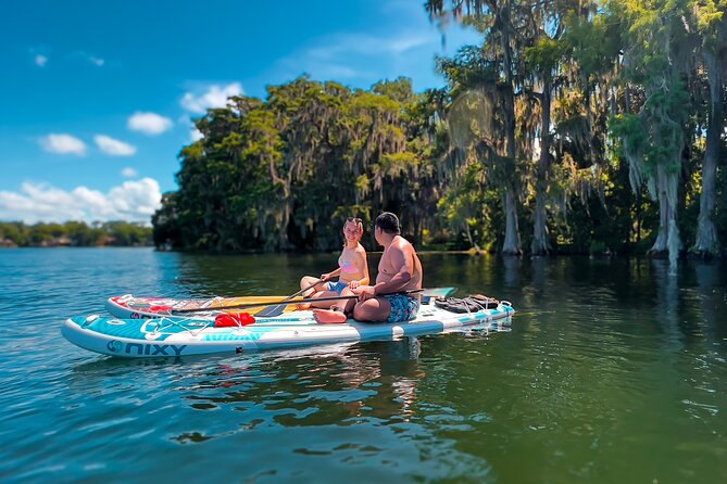 Winter Park Paddle Board Tour - Wildlife chances: birds, turtles, and surprises along the canals